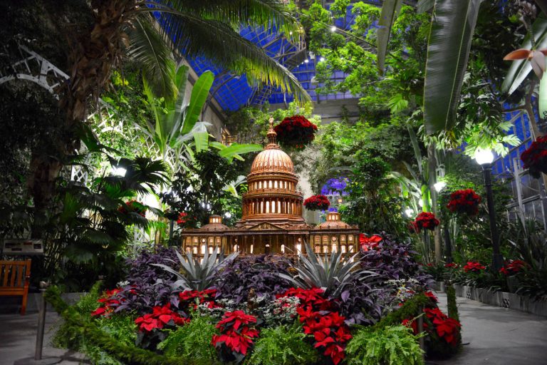 USBG-Holiday-Show-Capitol-building-and-poinsettias2-1400x934