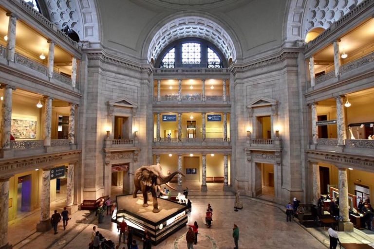 michellefortephotography_overview-of-museum-of-natural-history-atrium_mydccool-via-crowdriff